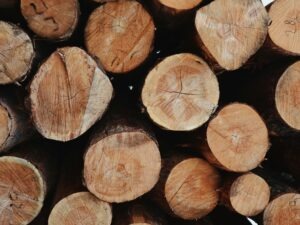 Douglas Fir - Sold out
